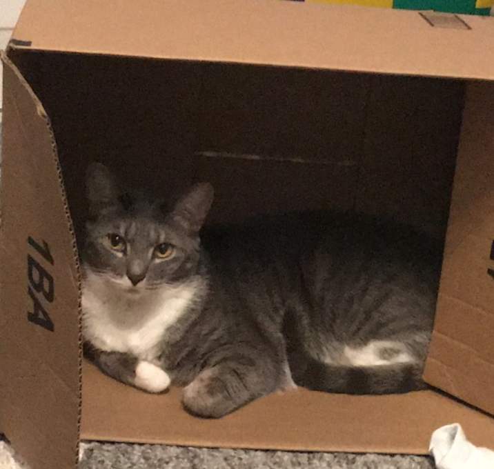 Photo of Cat Benatar