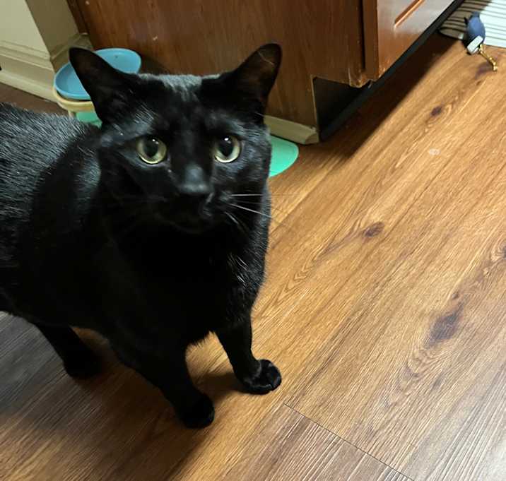 Photo of Ted