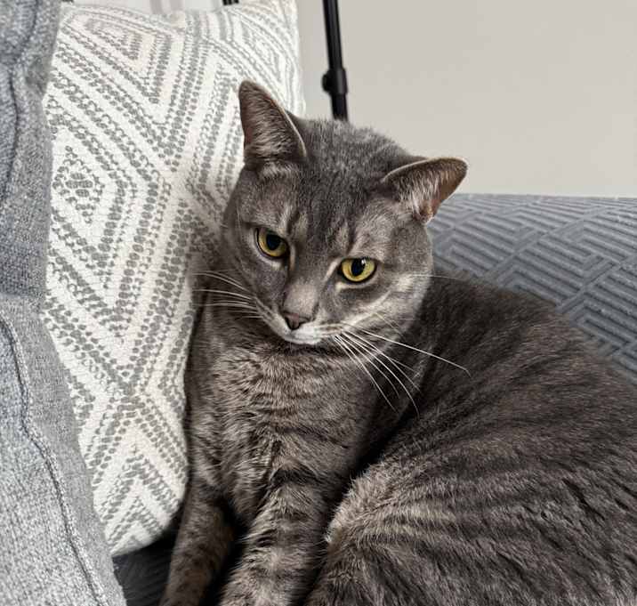 Photo of Sir Sadie