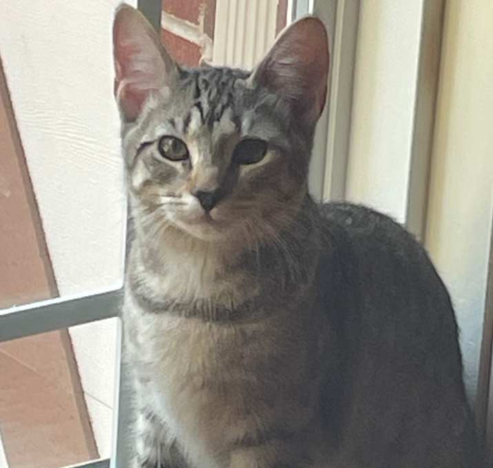 Photo of Betty