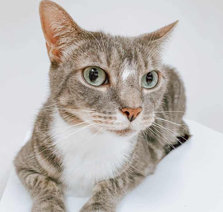Photo of Dusti