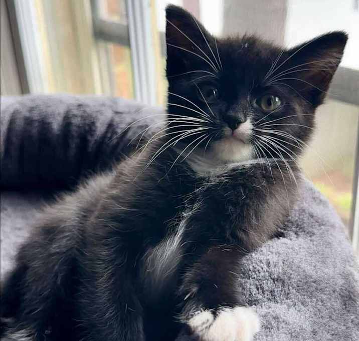 Photo of Betty