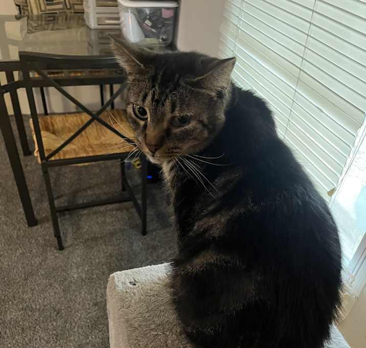 Photo of Stormie
