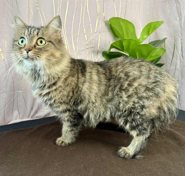 Photo of Anastasia