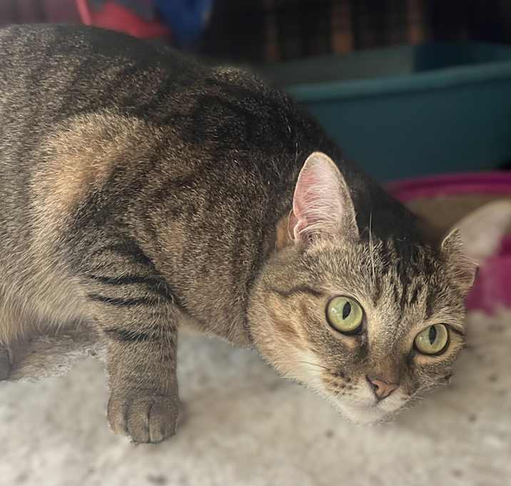 Photo of LOVEY