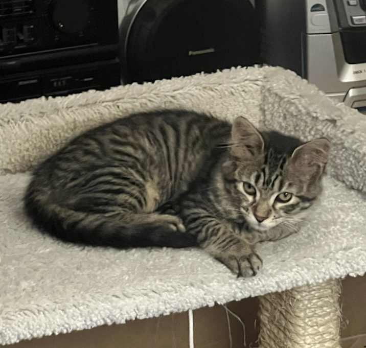 Photo of Lexi