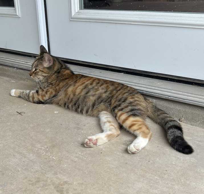 Photo of Otis
