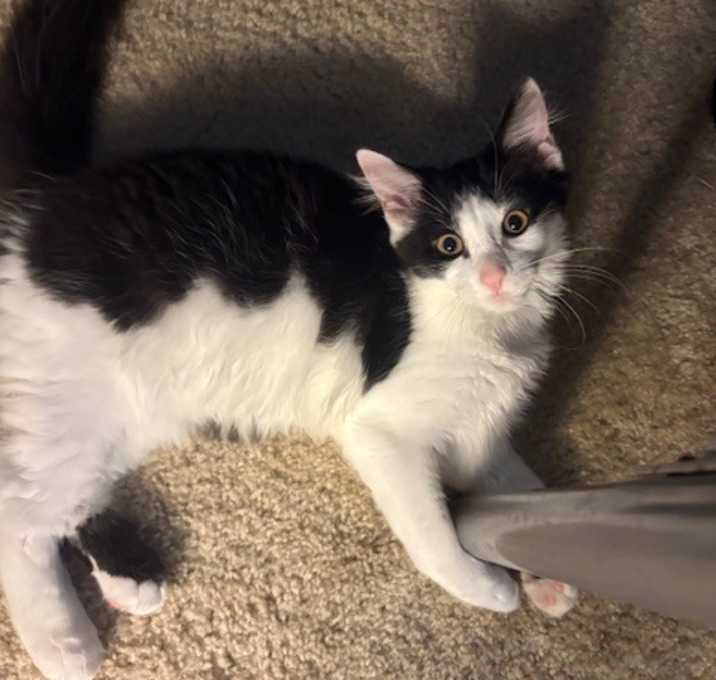 Photo of Angel's Harp