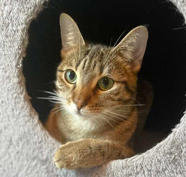 Photo of Millie