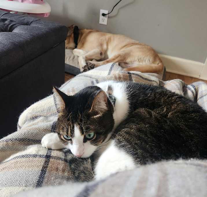Photo of Kiki