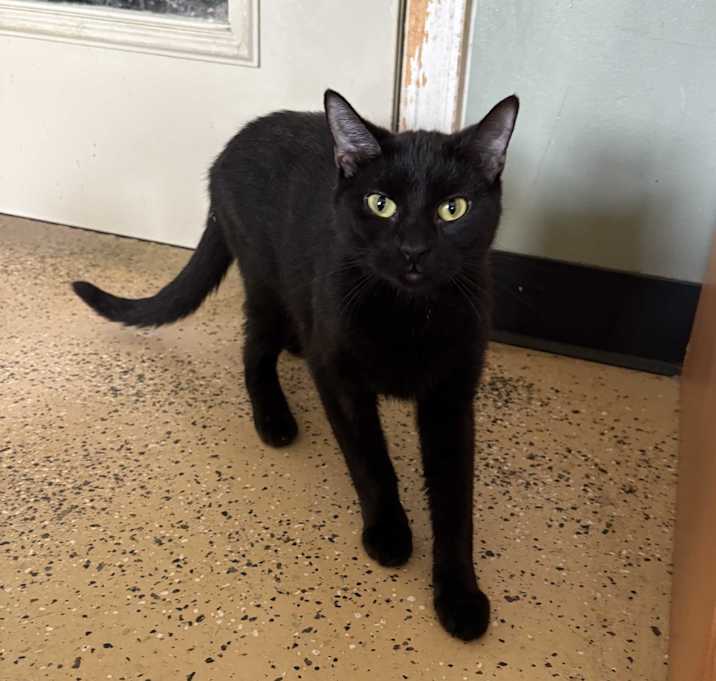 Photo of Emerald