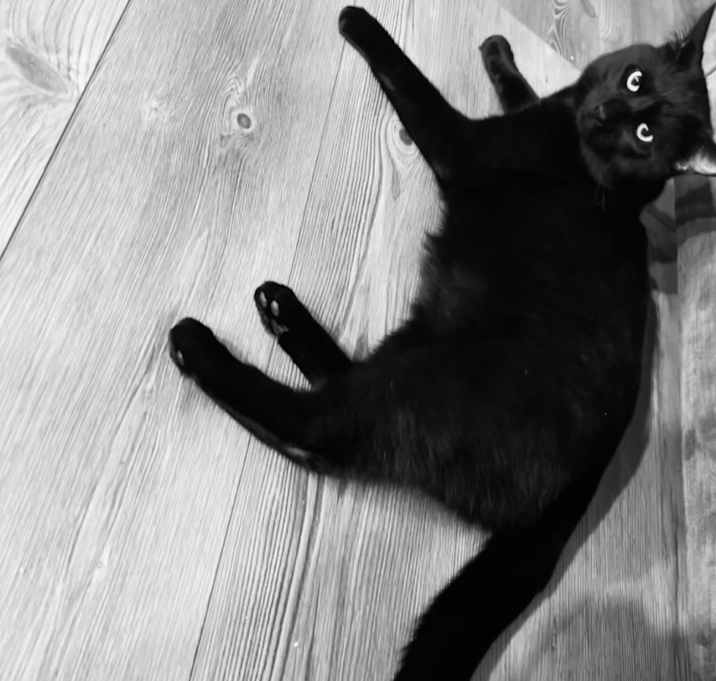 Photo of T’Challa