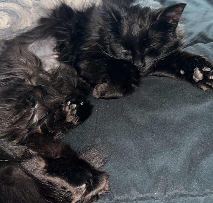 Photo of Chloe