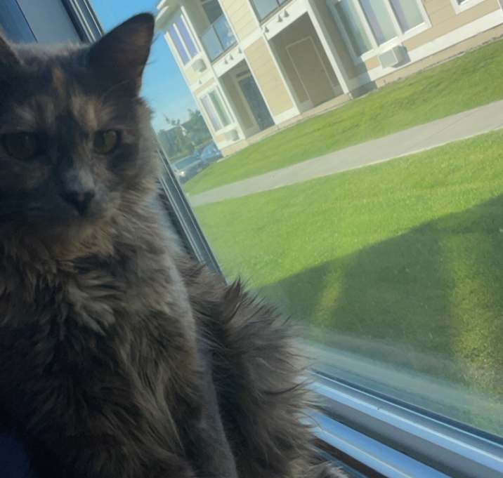 Photo of Maya