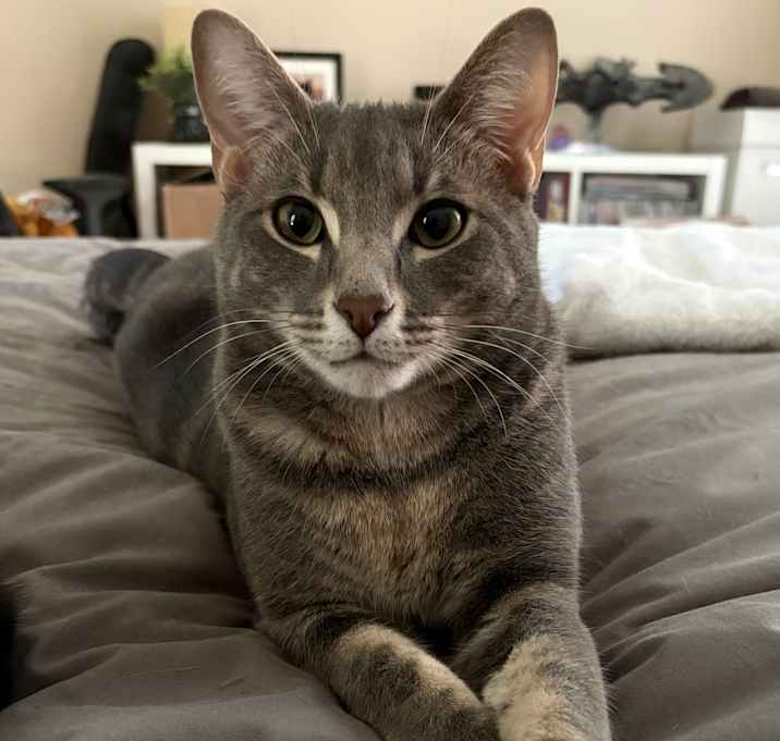 Photo of BMO