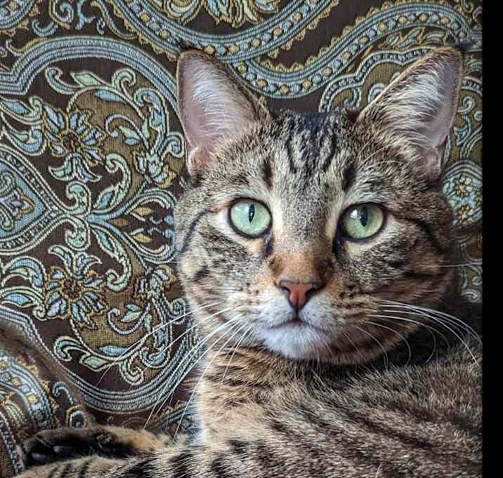 Photo of Moe