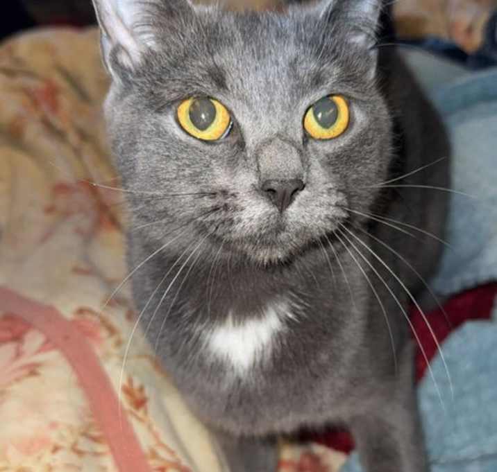 Photo of MISS BELL