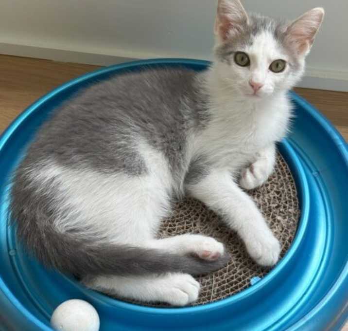 Photo of Sailor CP