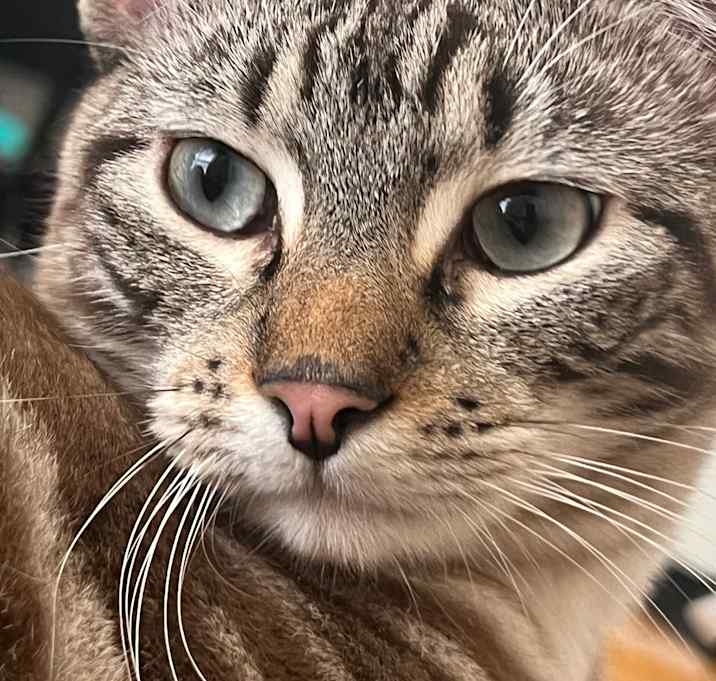 Photo of Fotini