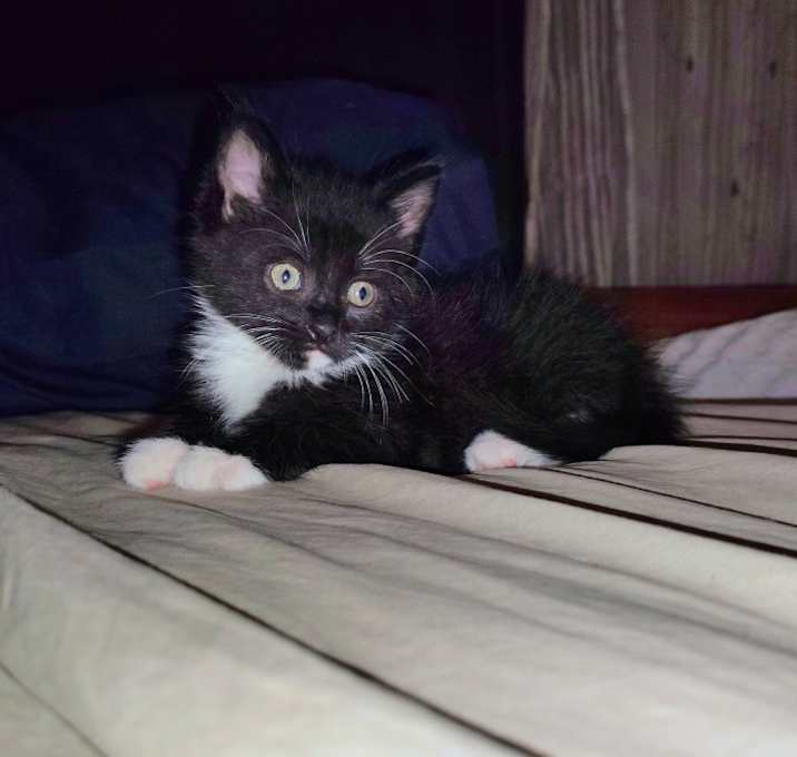 Photo of Moony
