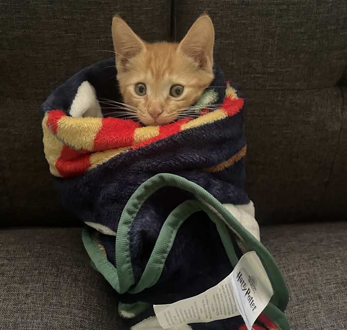 Photo of Monty