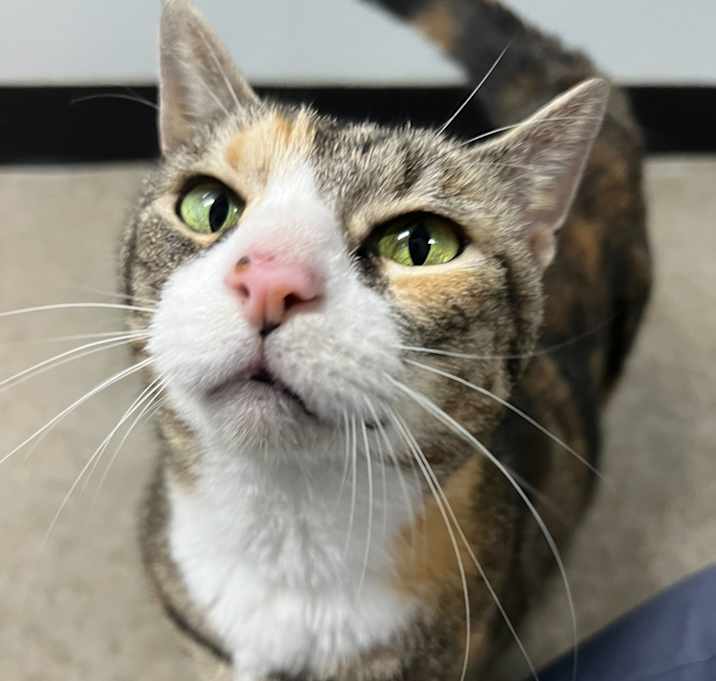 Photo of Dolly Purrton