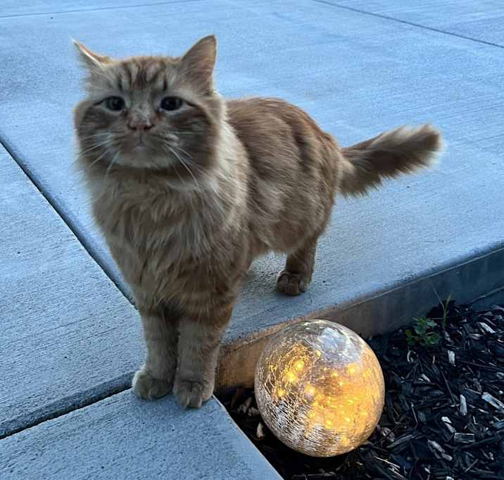 Photo of Big Red