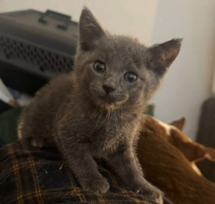 Photo of Jasper