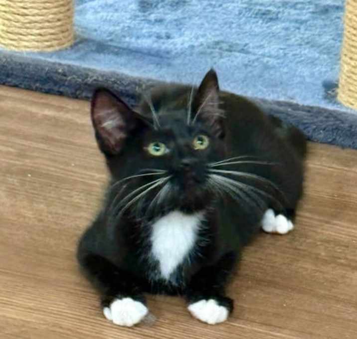 Photo of Boots