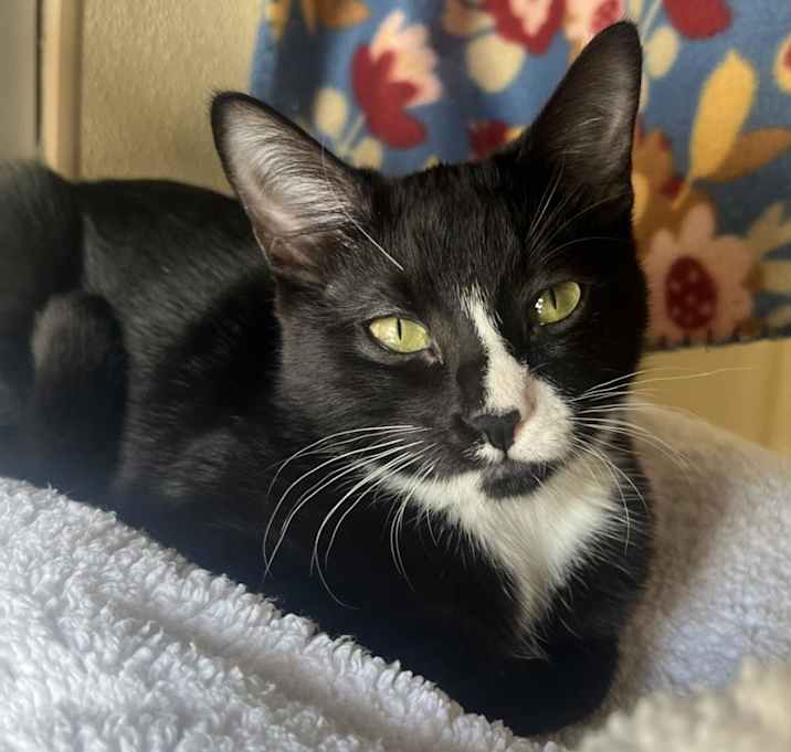 Photo of Kiwii