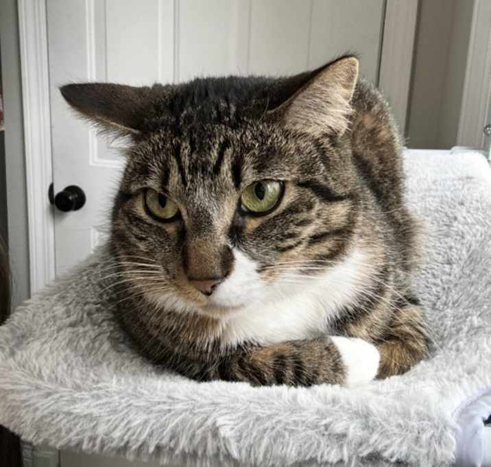 Photo of Ember
