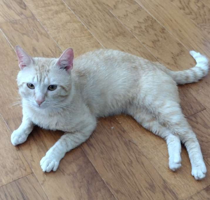 Photo of Cleo