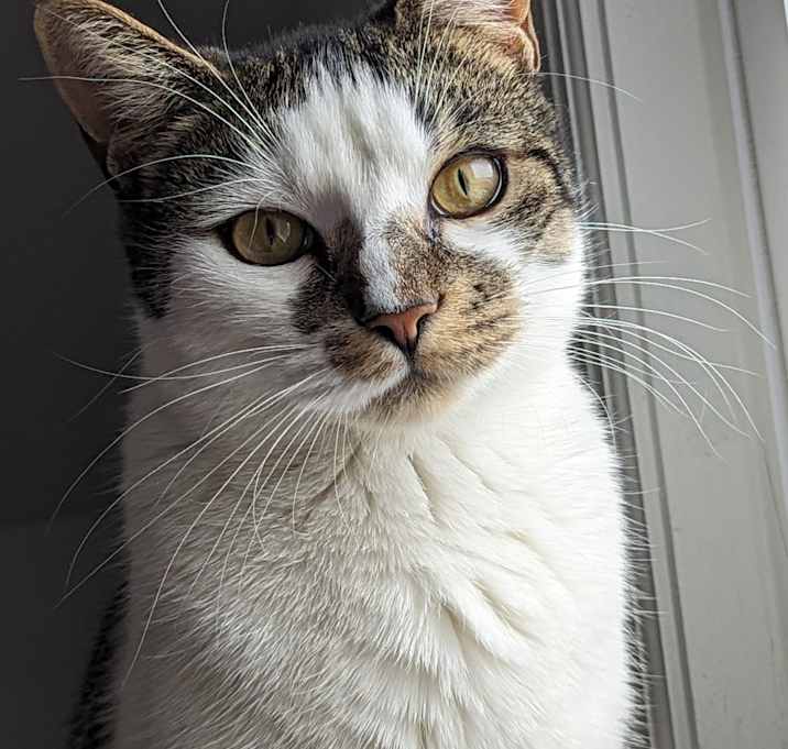 Photo of Giulia
