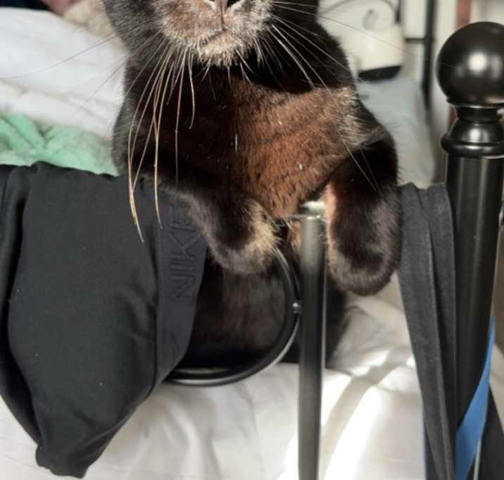 Photo of GusGus