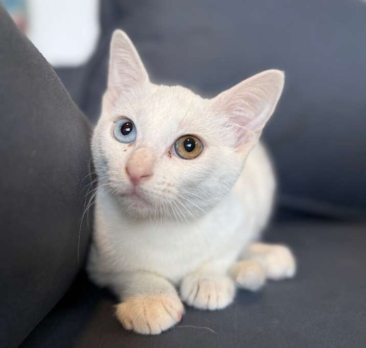 Photo of Whitey Jerny