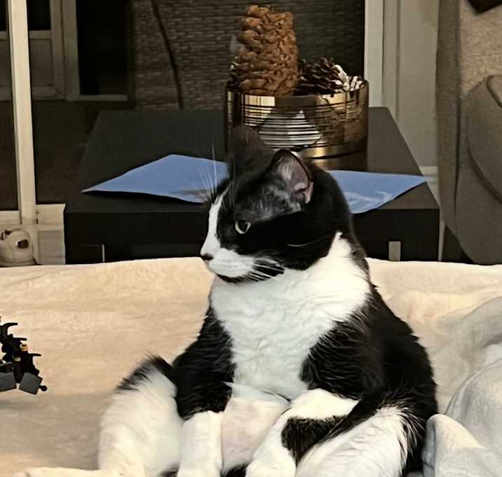 Photo of Duke