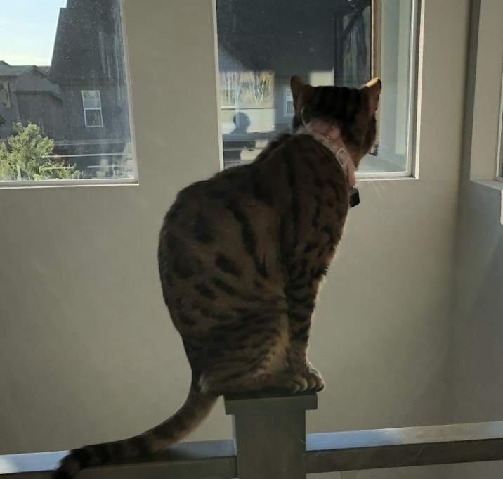 Photo of Dorothy