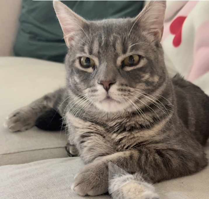 Photo of Zeeko