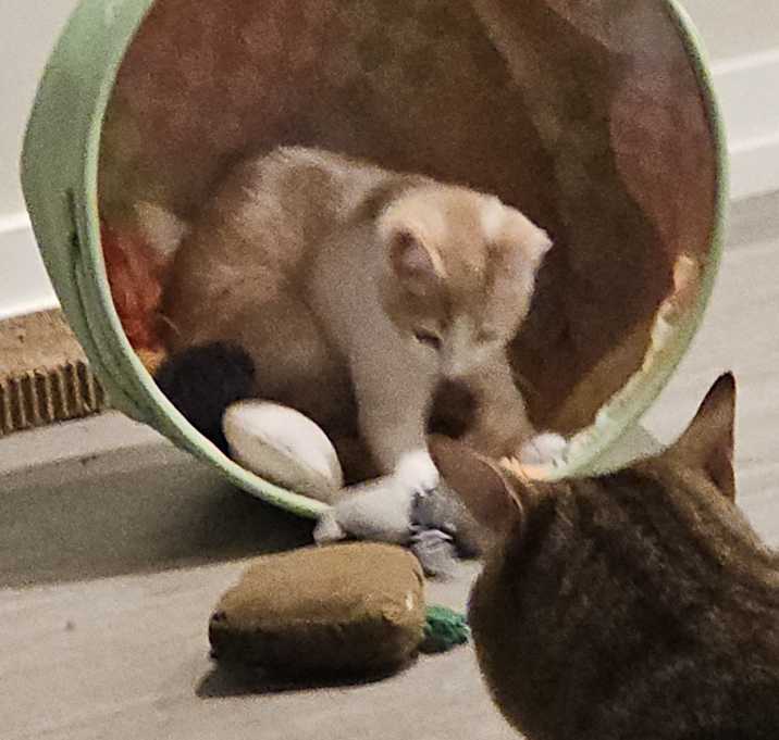 Photo of Olivia