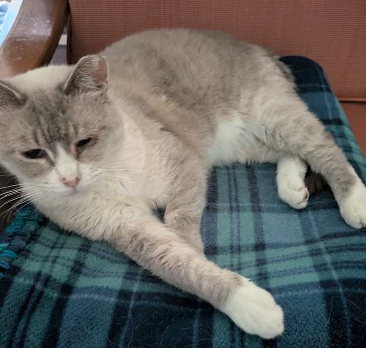 Photo of Xuan (Smokey Oak)