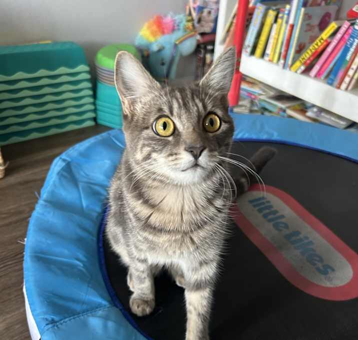 Photo of Kuromi