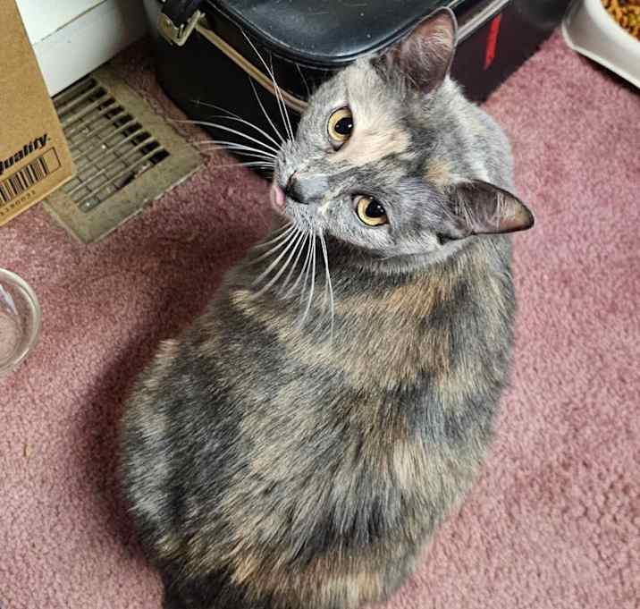 Photo of Pretty
