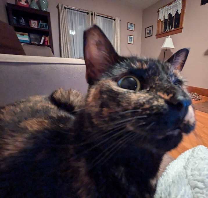 Photo of Maude