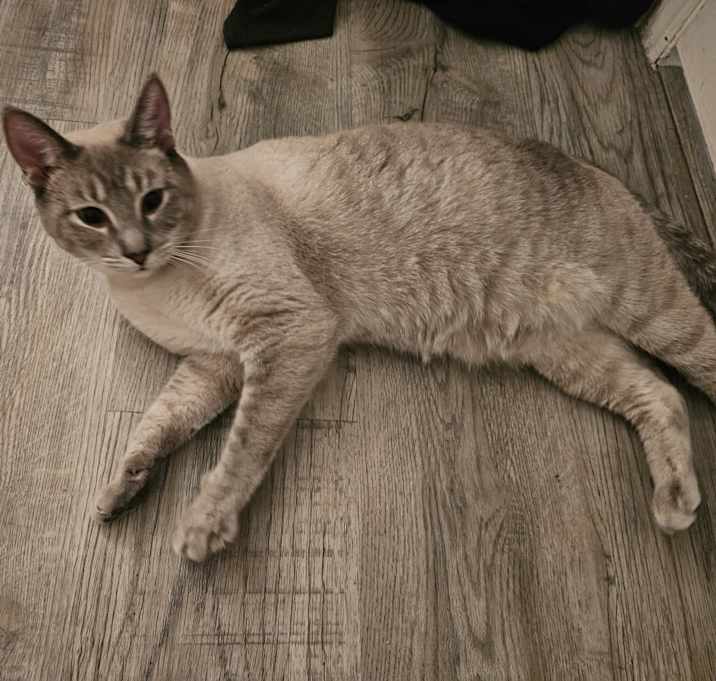 Photo of Minnie