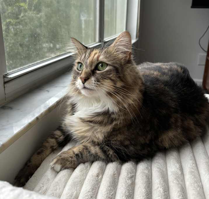 Photo of Daisy