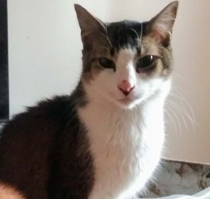 Photo of Timmy