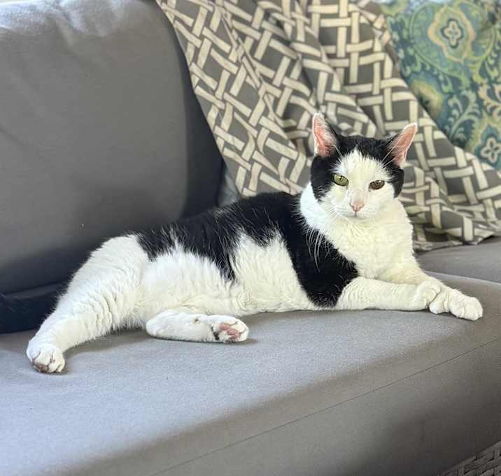 Photo of Polly