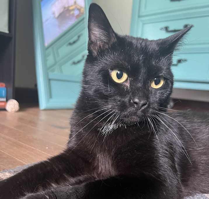 Photo of Tony
