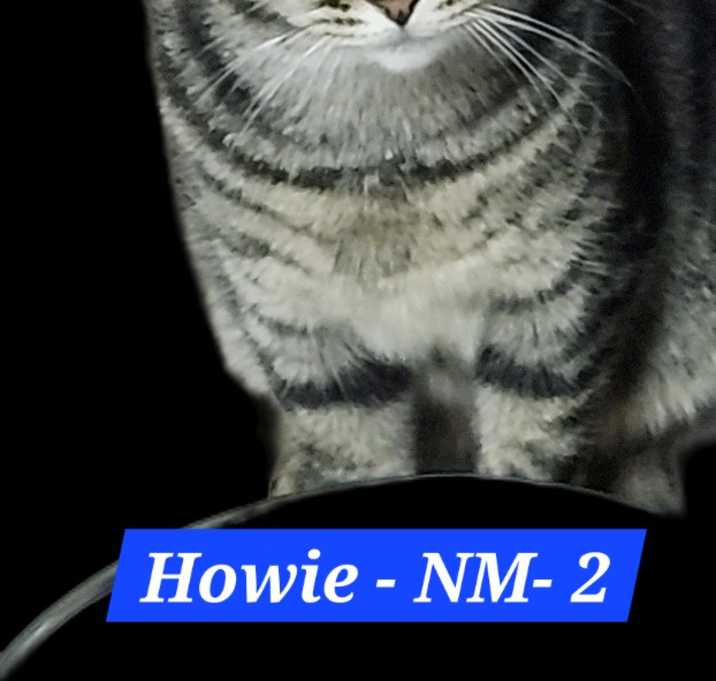 Photo of Howie