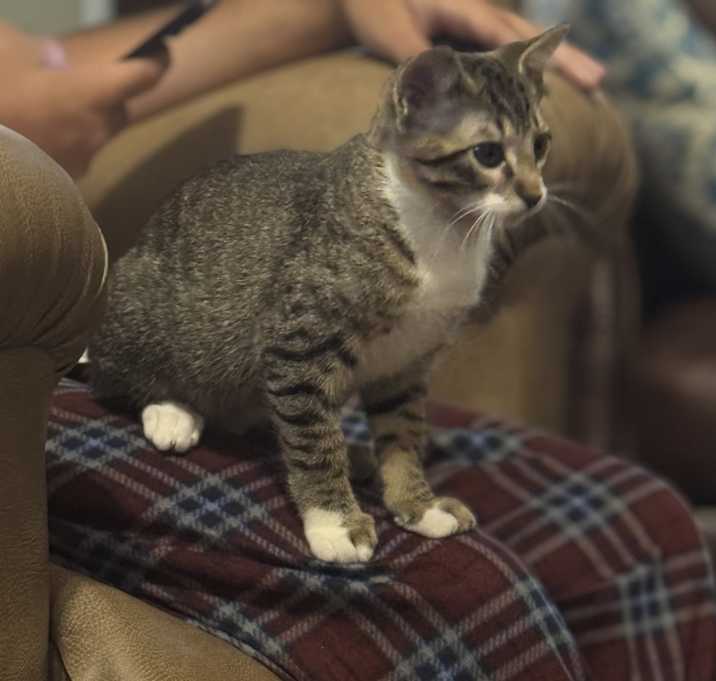 Photo of Chico
